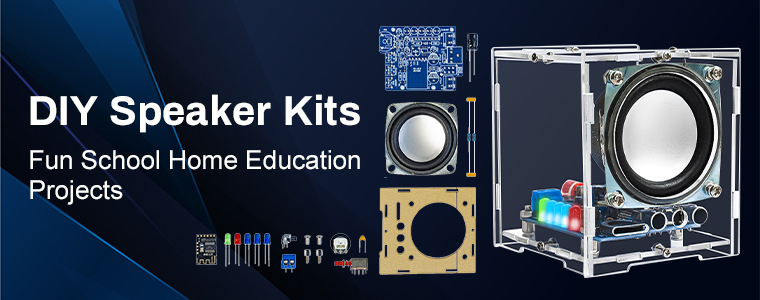 DIY Speaker Kit